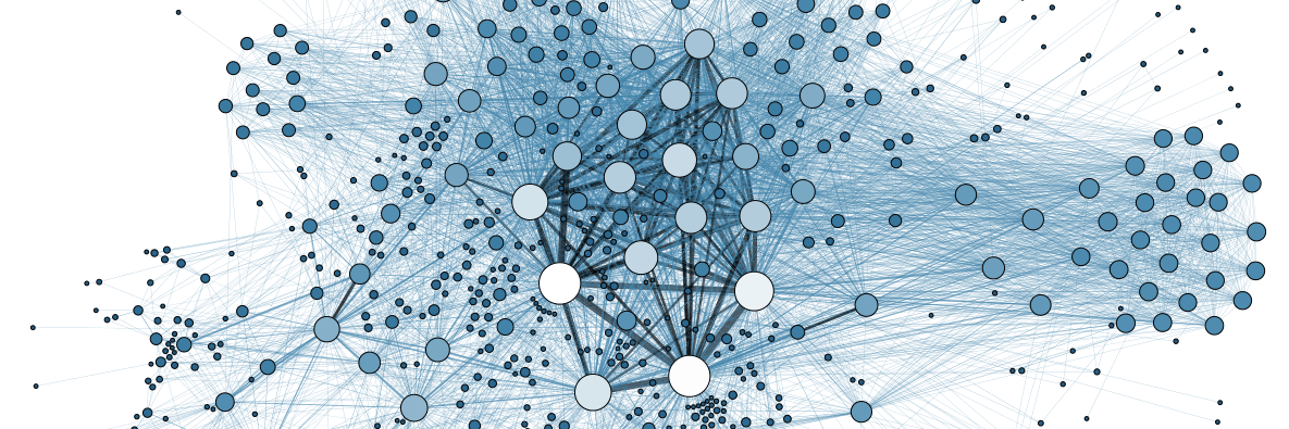 cropped-Social_Network_Analysis_Visualization.png